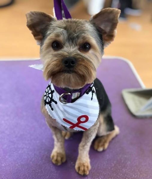 Ready to go Ready to go