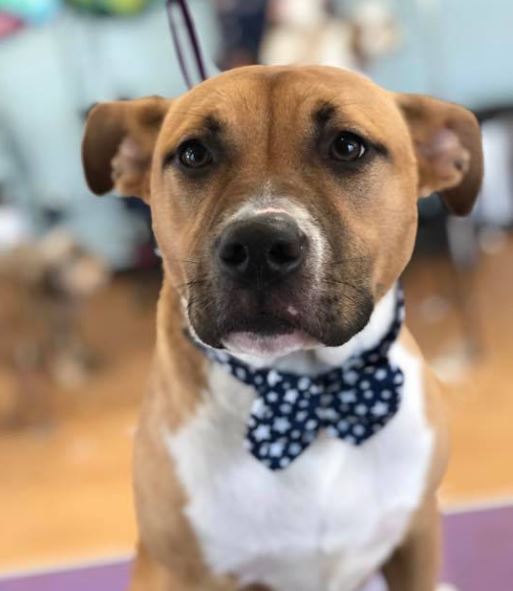 Some of our finest Some of our finest