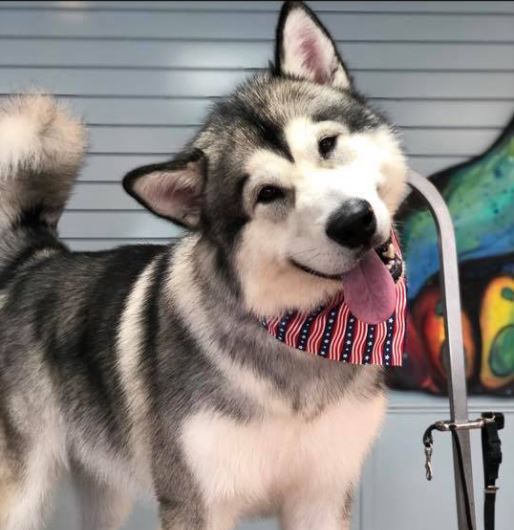 Some of our finest3 Some of our finest3