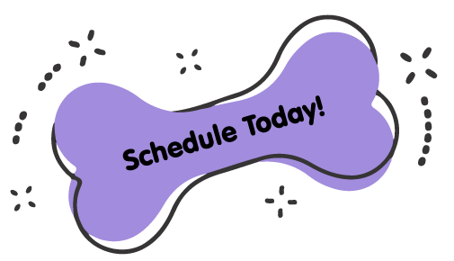 https://southlyon.animalcrackershartland.com/wp-content/uploads/2021/09/Schedule-Today-Purple-Bone-1.png